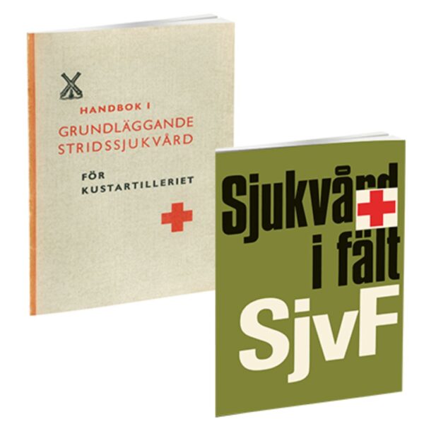 Sjukvård i fält